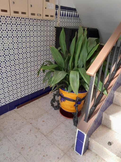 Disfruta De Un Barrio Tranquilo Apartment Alcala de Guadaira Exterior photo